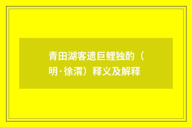 青田湖客遗巨鲤独酌（明·徐渭）释义及解释