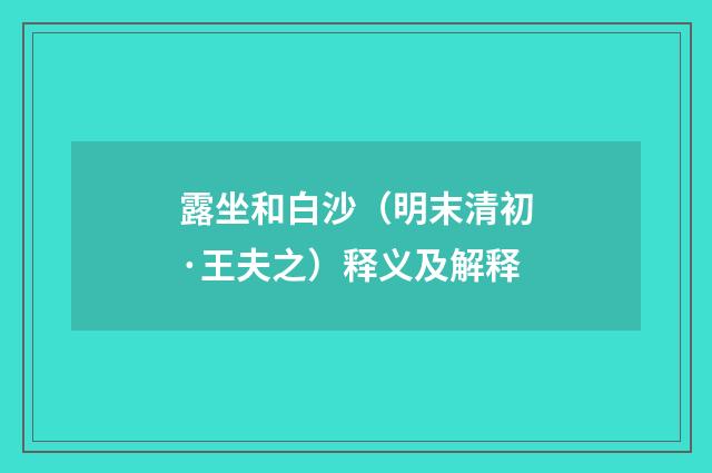 露坐和白沙（明末清初·王夫之）释义及解释