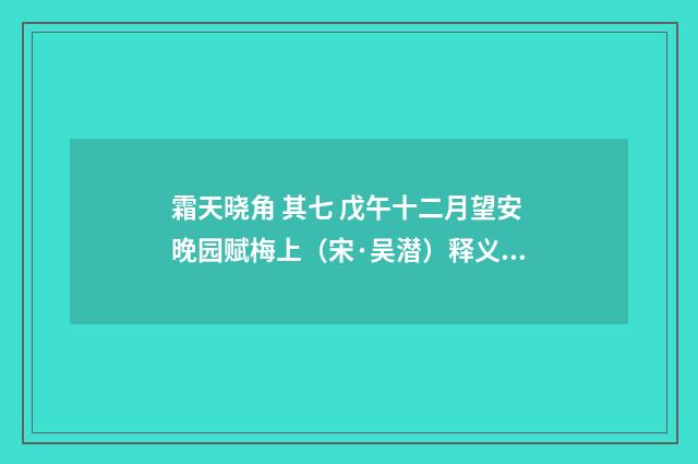 霜天晓角 其七 戊午十二月望安晚园赋梅上（宋·吴潜）释义及解释