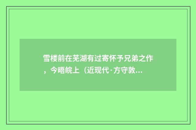 雪楼前在芜湖有过寄怀予兄弟之作，今晤皖上（近现代·方守敦）释义及解释