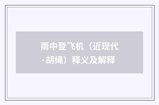 雨中登飞机（近现代·胡绳）释义及解释