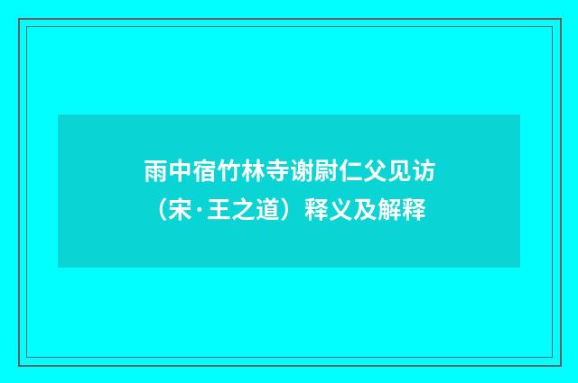 雨中宿竹林寺谢尉仁父见访（宋·王之道）释义及解释
