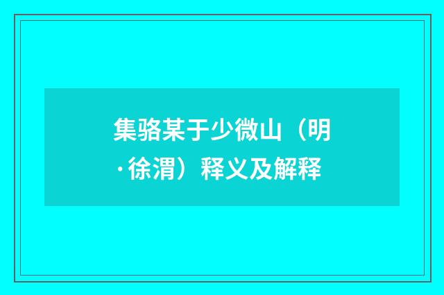 集骆某于少微山（明·徐渭）释义及解释