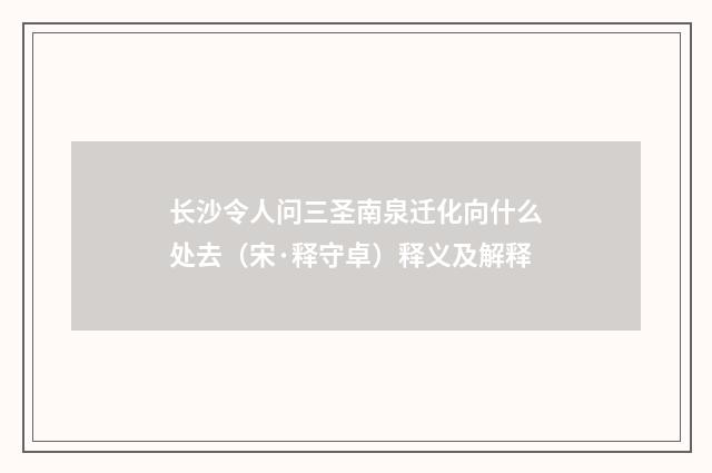 长沙令人问三圣南泉迁化向什么处去（宋·释守卓）释义及解释