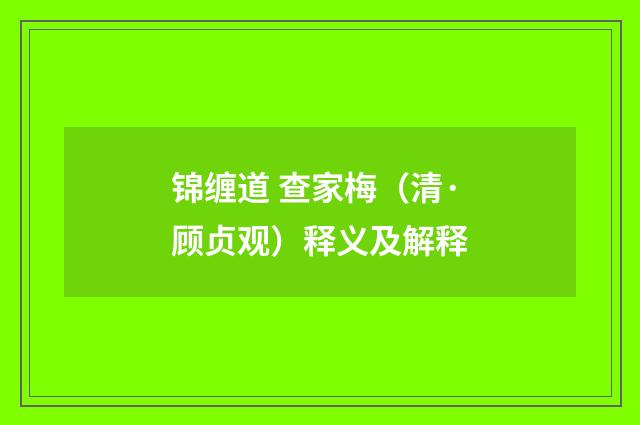 锦缠道 查家梅（清·顾贞观）释义及解释