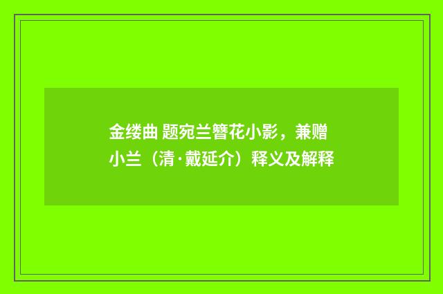 金缕曲 题宛兰簪花小影，兼赠小兰（清·戴延介）释义及解释