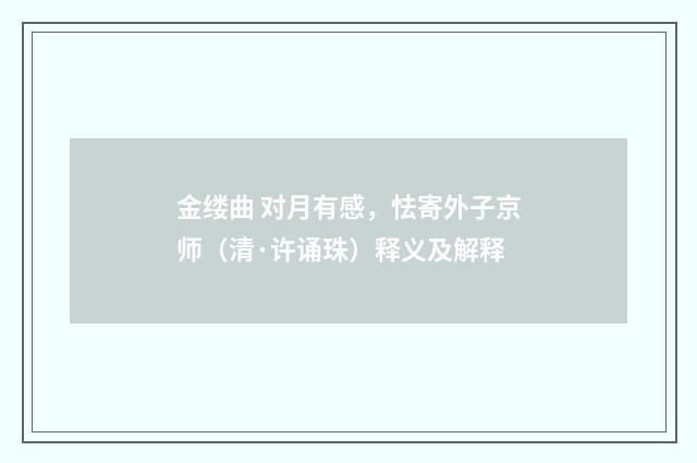 金缕曲 对月有感，怯寄外子京师（清·许诵珠）释义及解释