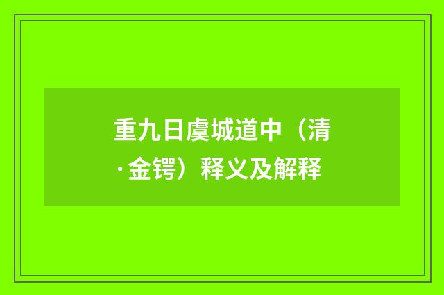 重九日虞城道中（清·金锷）释义及解释