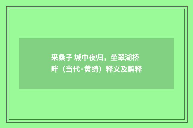采桑子 城中夜归，坐翠湖桥畔（当代·黄绮）释义及解释