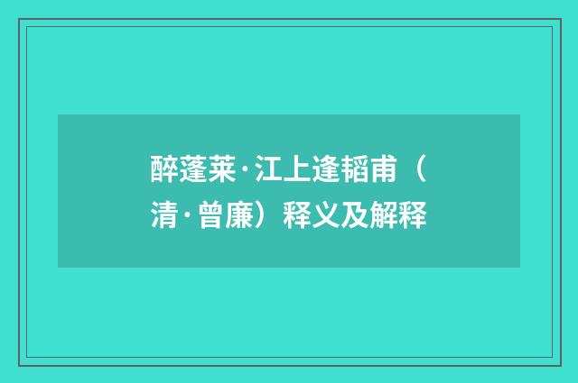 醉蓬莱·江上逢韬甫（清·曾廉）释义及解释