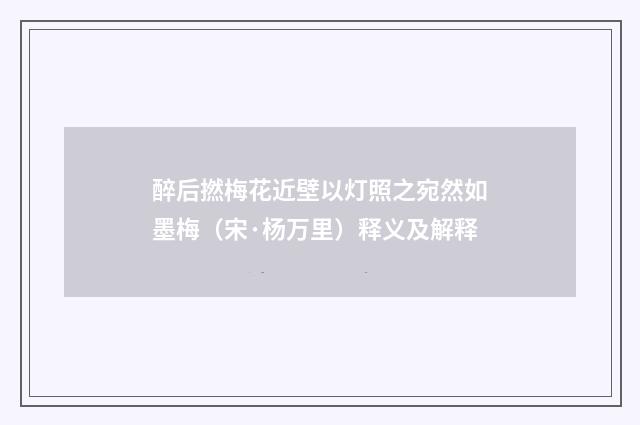 醉后撚梅花近壁以灯照之宛然如墨梅（宋·杨万里）释义及解释