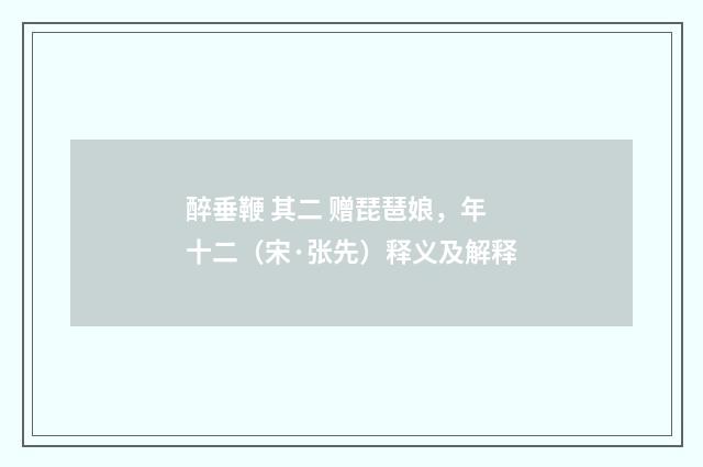 醉垂鞭 其二 赠琵琶娘，年十二（宋·张先）释义及解释