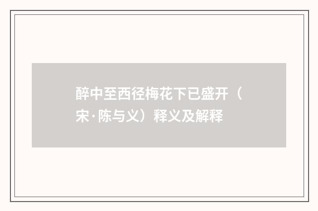 醉中至西径梅花下已盛开（宋·陈与义）释义及解释