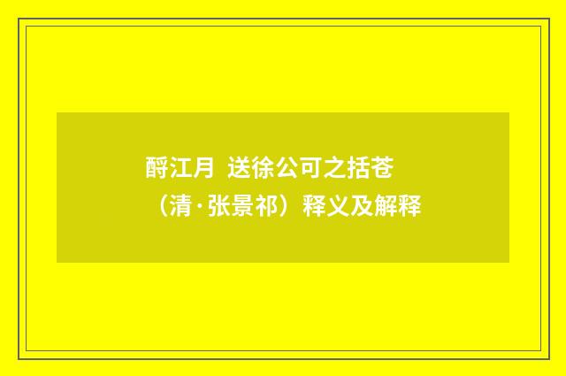 酹江月 送徐公可之括苍(清·张景祁)释义及解释