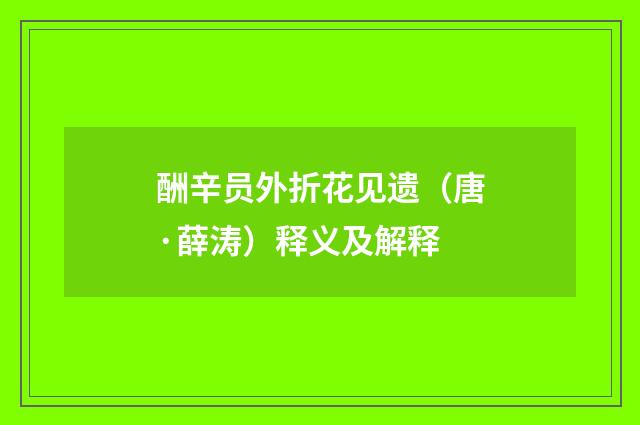酬辛员外折花见遗（唐·薛涛）释义及解释