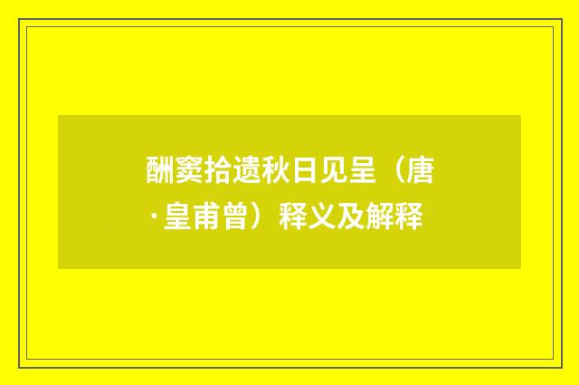 酬窦拾遗秋日见呈（唐·皇甫曾）释义及解释