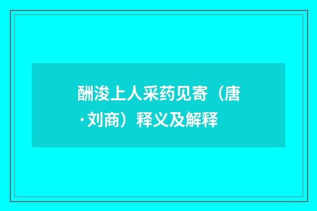 酬浚上人采药见寄（唐·刘商）释义及解释
