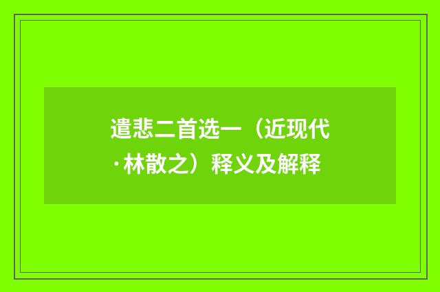 遣悲二首选一（近现代·林散之）释义及解释