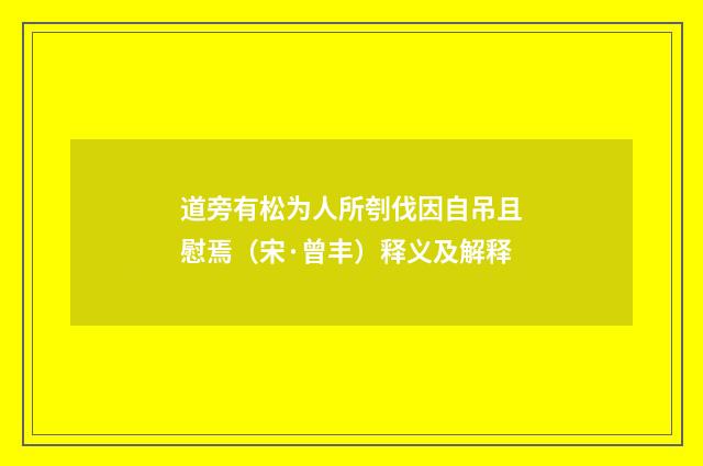 道旁有松为人所刳伐因自吊且慰焉（宋·曾丰）释义及解释