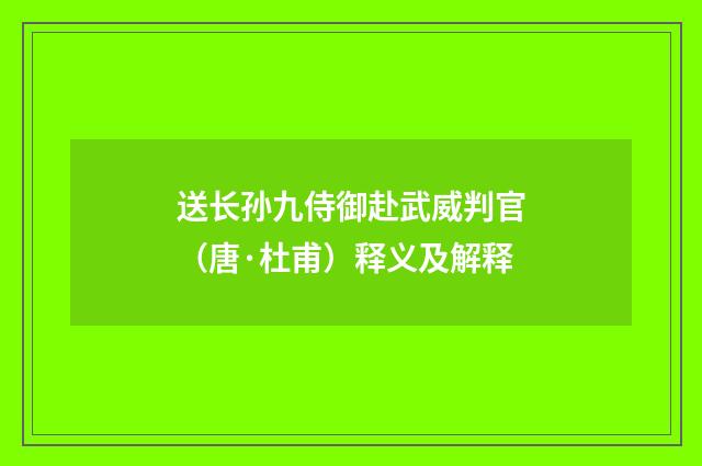 送长孙九侍御赴武威判官（唐·杜甫）释义及解释