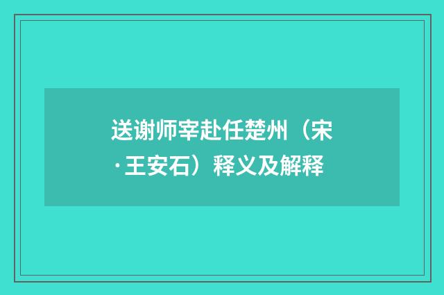送谢师宰赴任楚州（宋·王安石）释义及解释