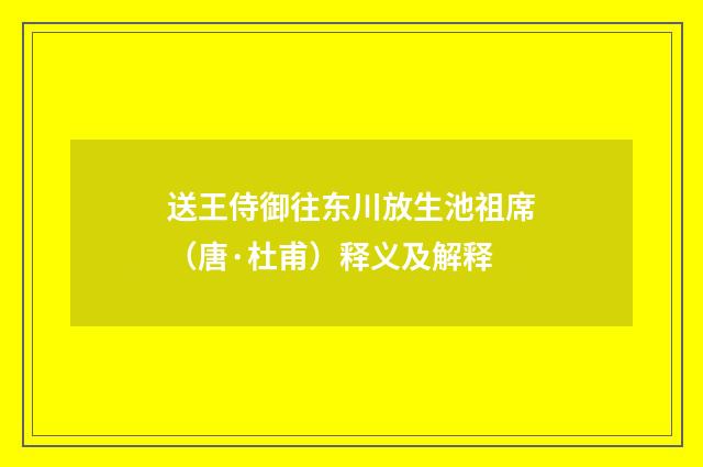 送王侍御往东川放生池祖席（唐·杜甫）释义及解释