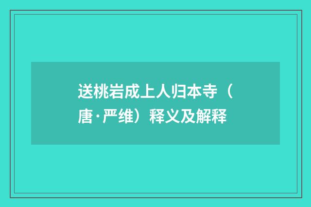 送桃岩成上人归本寺（唐·严维）释义及解释