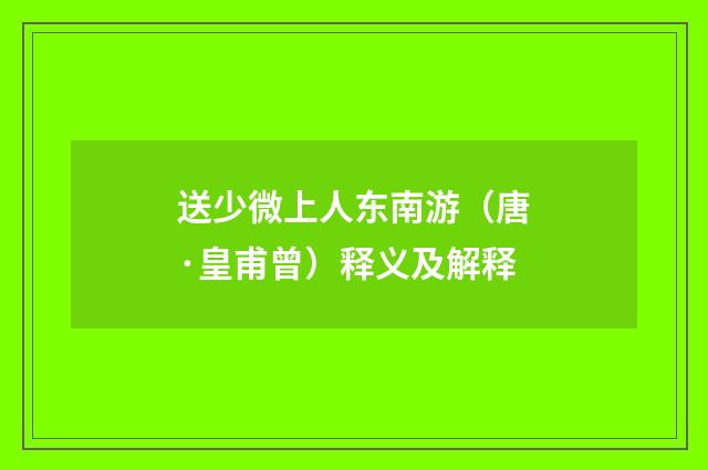 送少微上人东南游（唐·皇甫曾）释义及解释