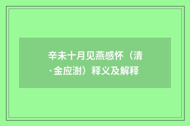 辛未十月见燕感怀（清·金应澍）释义及解释