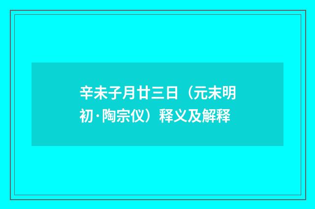 辛未子月廿三日（元末明初·陶宗仪）释义及解释