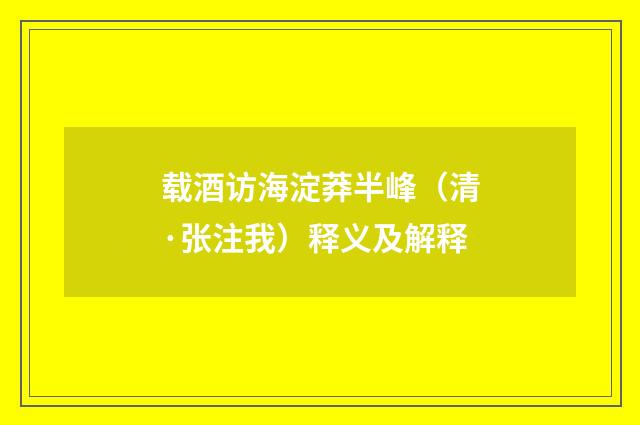 载酒访海淀莽半峰（清·张注我）释义及解释