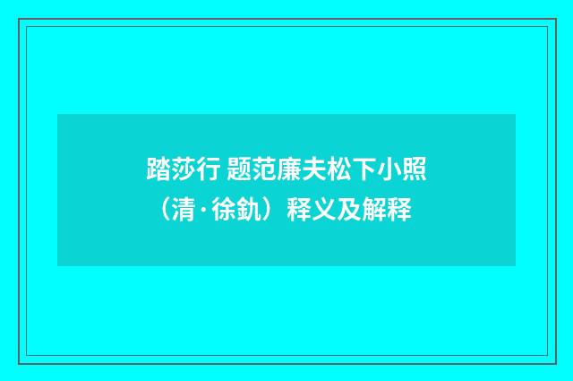 踏莎行 题范廉夫松下小照（清·徐釚）释义及解释