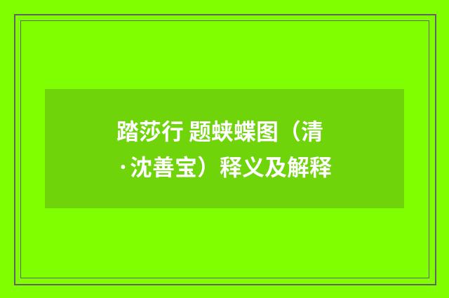 踏莎行 题蛱蝶图（清·沈善宝）释义及解释