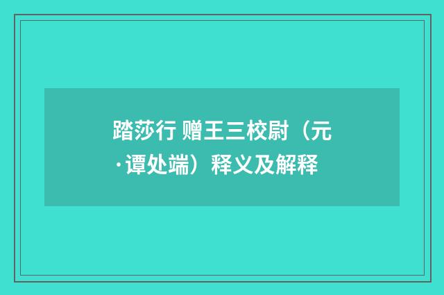 踏莎行 赠王三校尉（元·谭处端）释义及解释