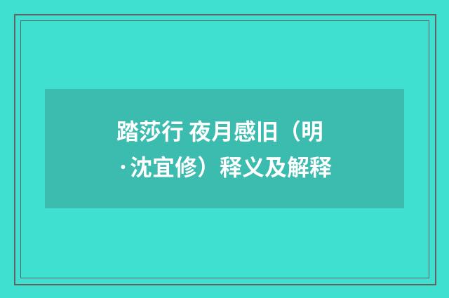 踏莎行 夜月感旧（明·沈宜修）释义及解释