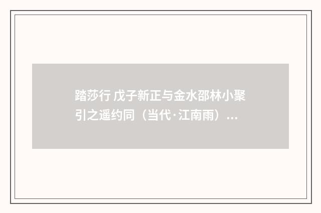 踏莎行 戊子新正与金水邵林小聚引之遥约同（当代·江南雨）释义及解释