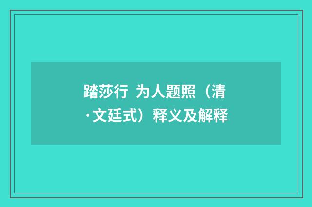 踏莎行  为人题照（清·文廷式）释义及解释