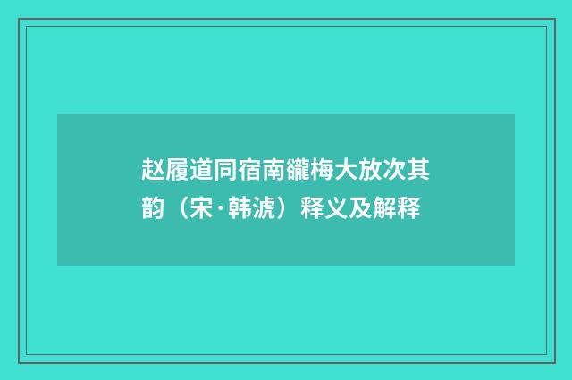 赵履道同宿南豅梅大放次其韵（宋·韩淲）释义及解释