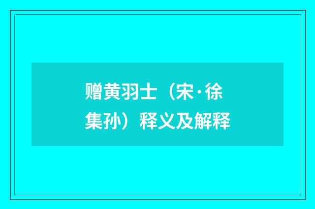 赠黄羽士（宋·徐集孙）释义及解释