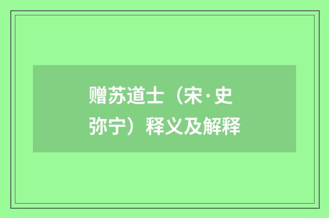 赠苏道士（宋·史弥宁）释义及解释
