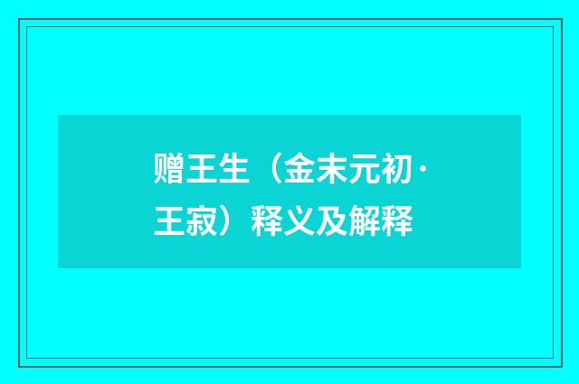 赠王生（金末元初·王寂）释义及解释
