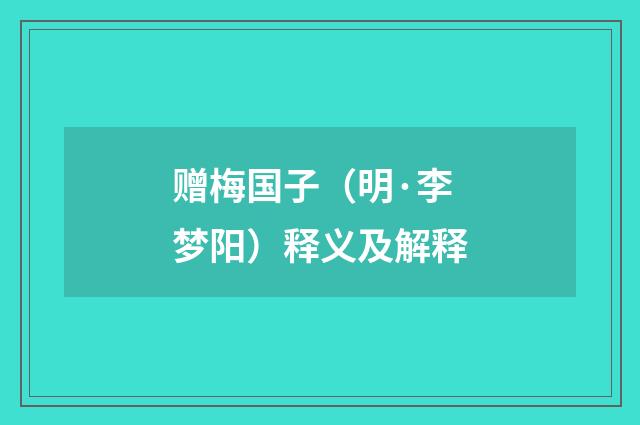赠梅国子（明·李梦阳）释义及解释