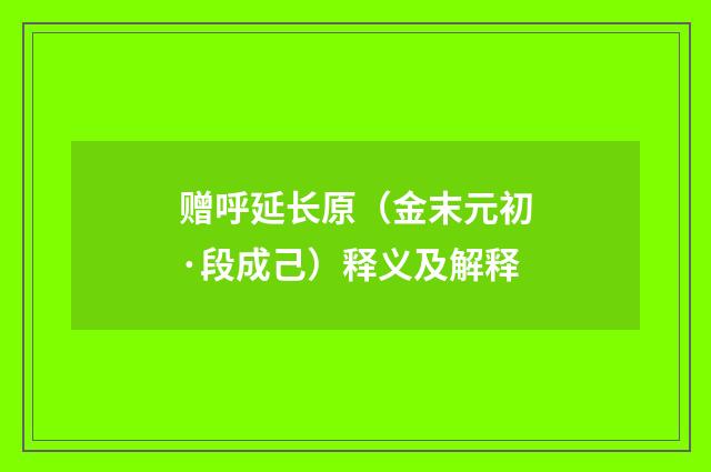 赠呼延长原（金末元初·段成己）释义及解释