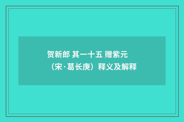 贺新郎 其一十五 赠紫元（宋·葛长庚）释义及解释