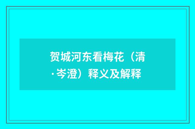 贺城河东看梅花（清·岑澄）释义及解释