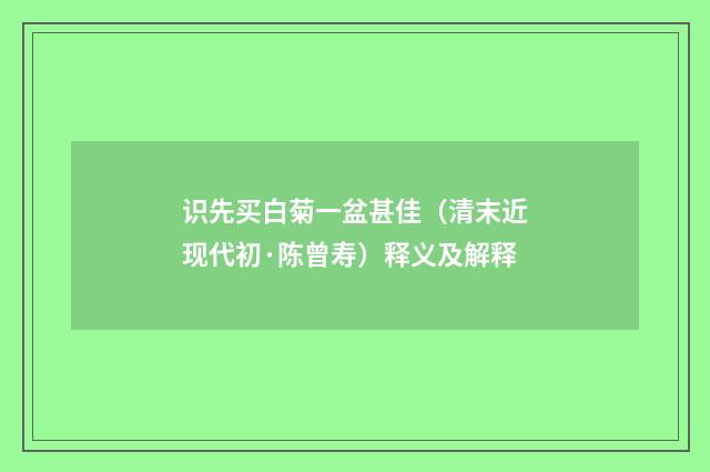 识先买白菊一盆甚佳（清末近现代初·陈曾寿）释义及解释