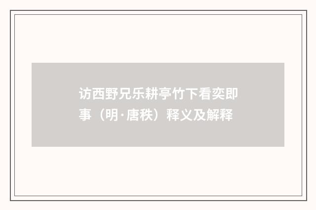 访西野兄乐耕亭竹下看奕即事（明·唐秩）释义及解释