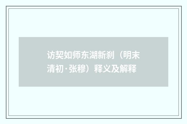 访契如师东湖新刹（明末清初·张穆）释义及解释