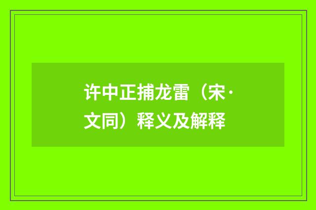 许中正捕龙雷（宋·文同）释义及解释