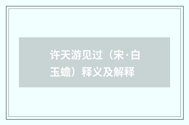 许天游见过（宋·白玉蟾）释义及解释